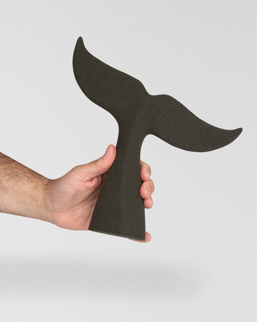 Wal-Trophäe, 2025